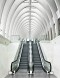Escalator Company Escalator Company