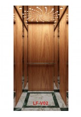 Traction home lift