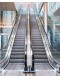 Escalator Company Escalator Company