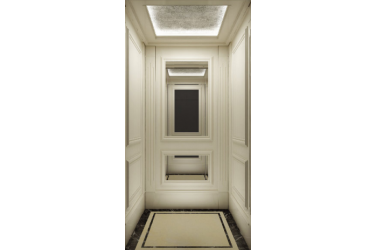 Traction home lift
